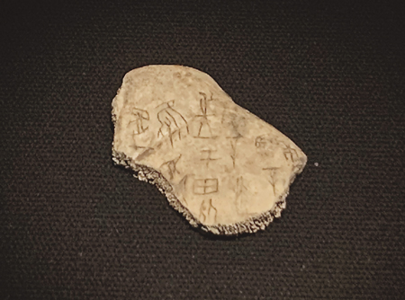 中国学术“四大发现”兔年大聚首