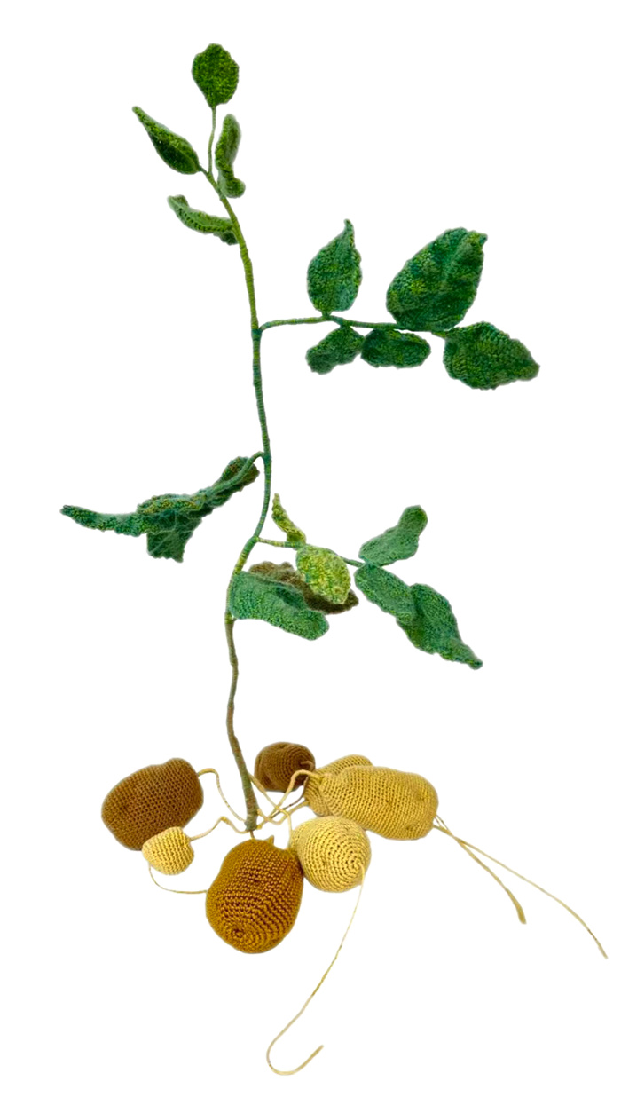 聚焦杰出艺术家个案——UCCA公布2025年的9场展览计划