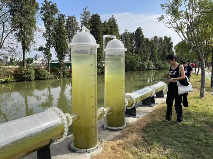 来广东南海大地艺术节，开“盲盒”，集印章，在水脉桑田间成为艺术的一部分！