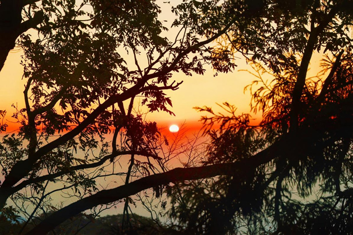 秋日庐山 色彩缤纷：35位油画名家情绘九江“山江湖城”