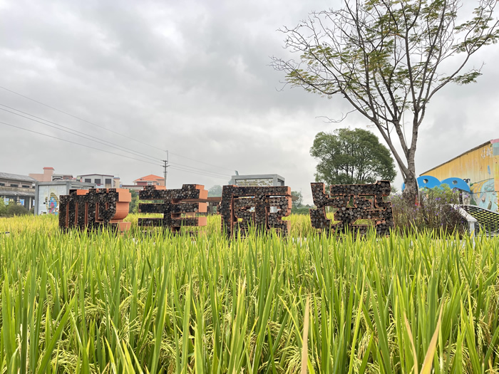 来广东南海大地艺术节，开“盲盒”，集印章，在水脉桑田间成为艺术的一部分！