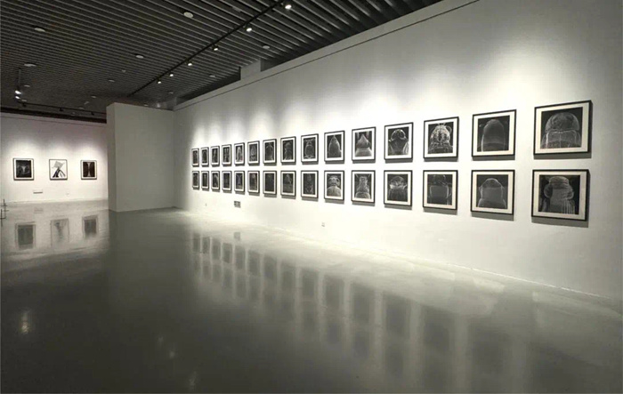 “相融共生：中德当代艺术展”江西省美术馆举行 对话总策划任戎