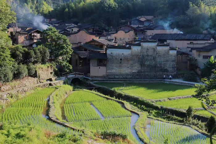 世间本无隐逸之路，只有生活——程美信专访