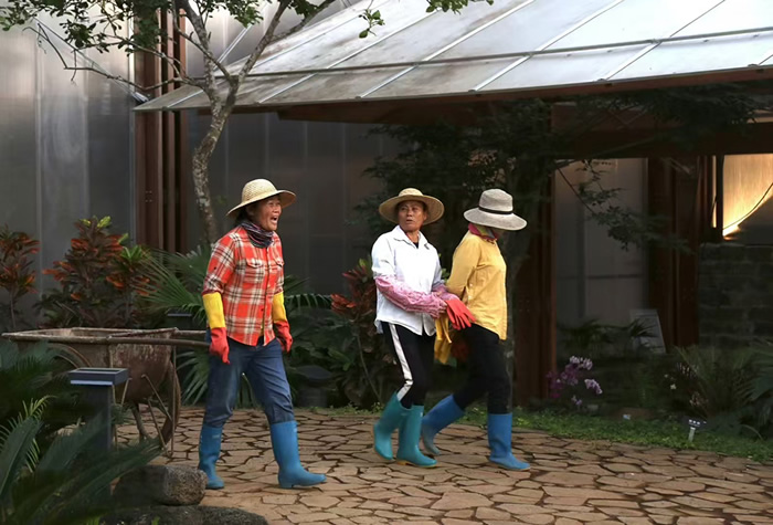 叶曼专访：致力在海南那雅村打造融合传统与现代的“创造力社区”