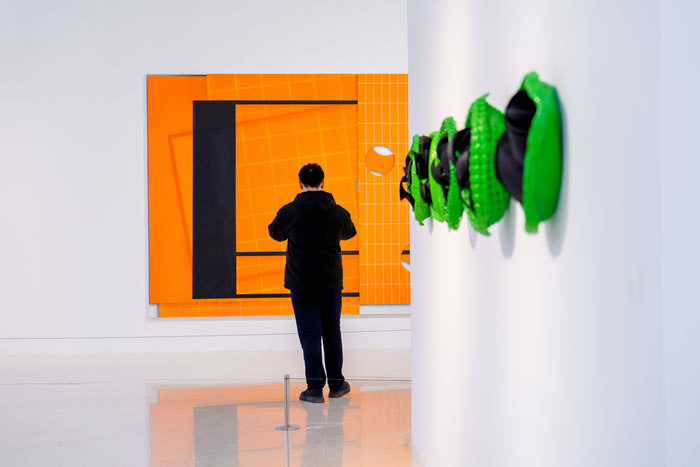 石家庄美术馆“重构视域”跨年展：当代语境下的“视域”再造与探索