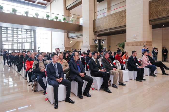 中国基础美术教育文献展——在美术教育的前世今生中重见你我