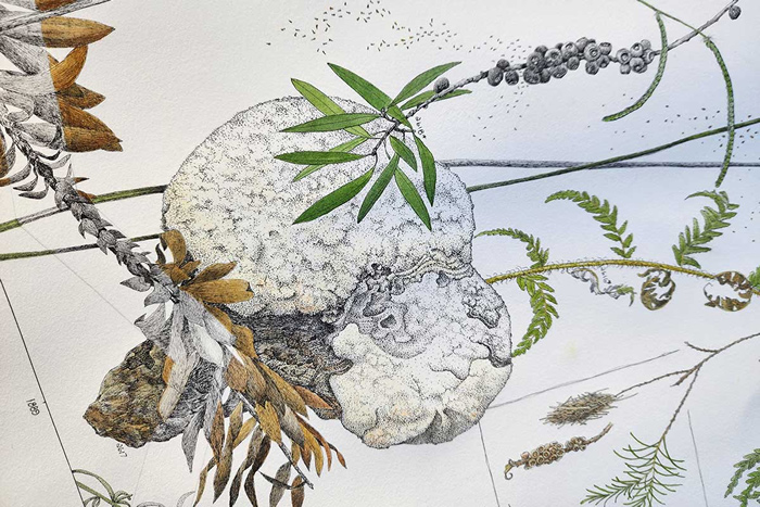 生态诗篇：艺术中的树木生命