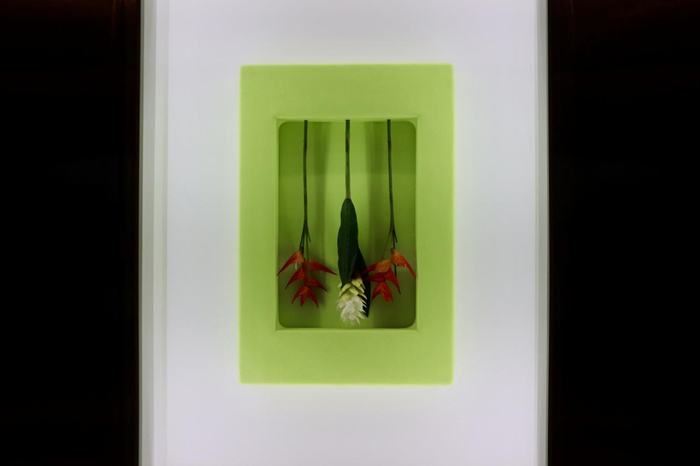 跨越边界的生命实验：安妮卡·易中国首展