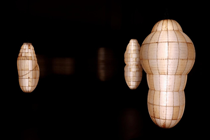 跨越边界的生命实验：安妮卡·易中国首展