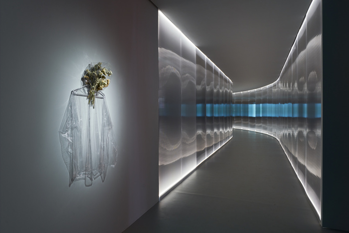 跨越边界的生命实验：安妮卡·易中国首展