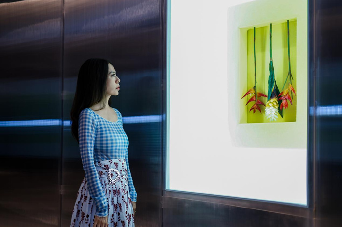 跨越边界的生命实验：安妮卡·易中国首展