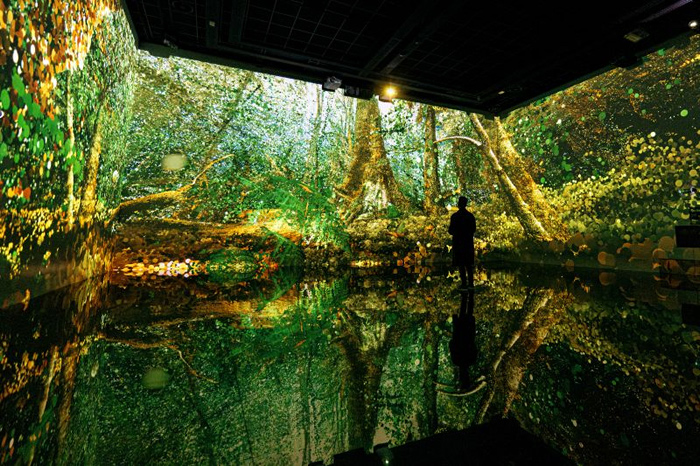 生态诗篇：艺术中的树木生命