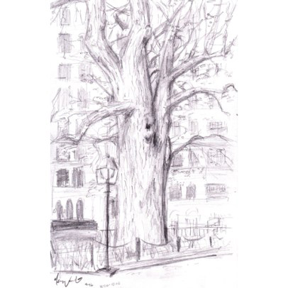 生态诗篇：艺术中的树木生命