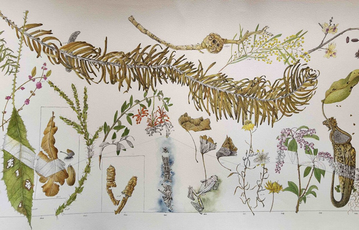 生态诗篇：艺术中的树木生命