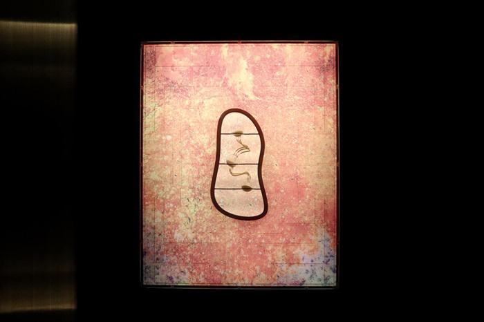 跨越边界的生命实验：安妮卡·易中国首展