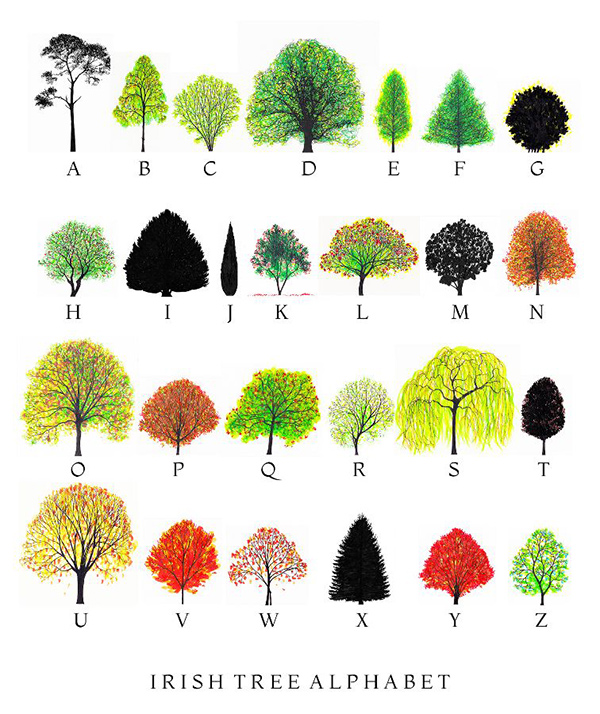 生态诗篇：艺术中的树木生命