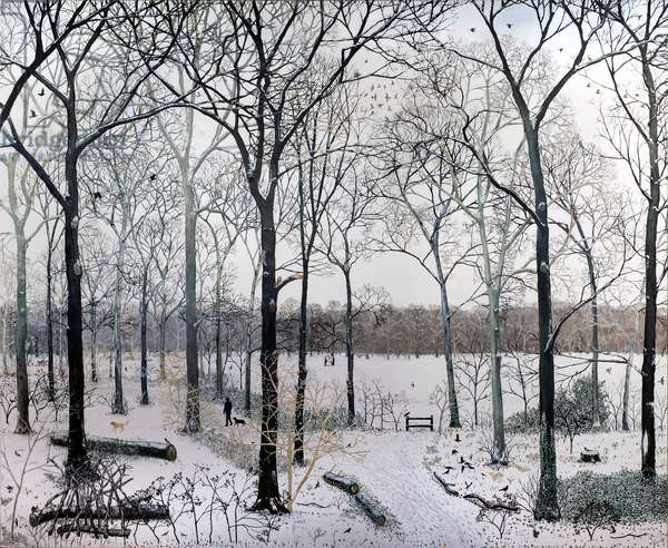 生态诗篇：艺术中的树木生命