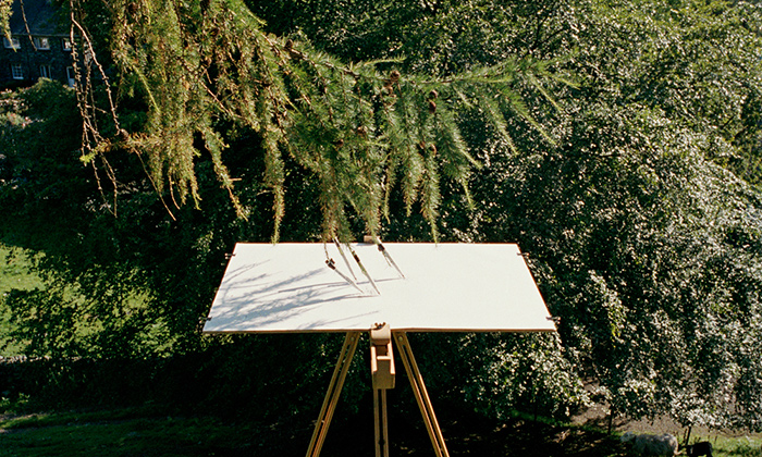 生态诗篇：艺术中的树木生命