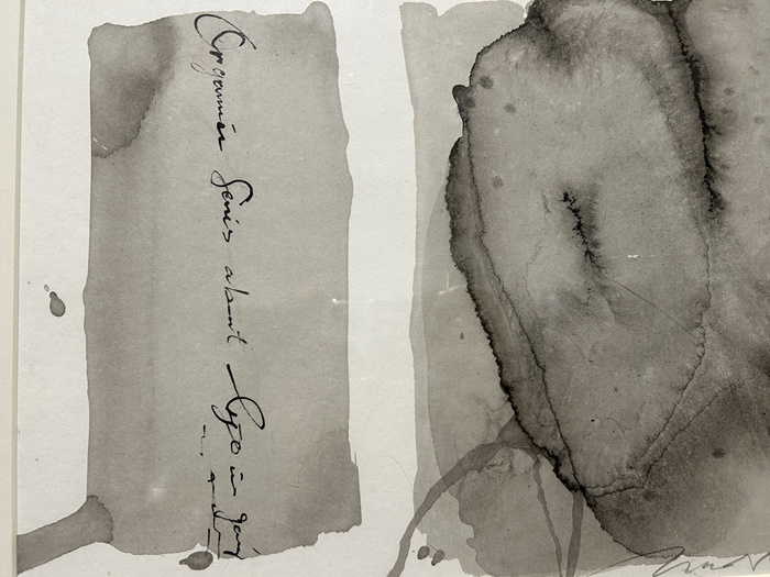 28组海外华人艺术家，呈现一场关于“身份”的沉浸式体验