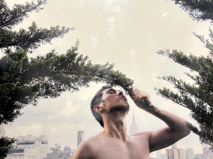 28组海外华人艺术家，呈现一场关于“身份”的沉浸式体验