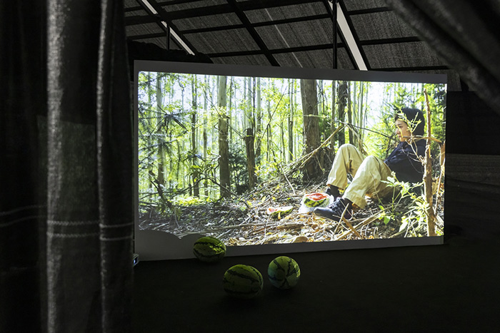 小切口，大视野：第二届泛东南亚首展以影像讲述亚洲南方故事