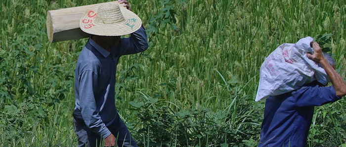 小切口，大视野：第二届泛东南亚首展以影像讲述亚洲南方故事