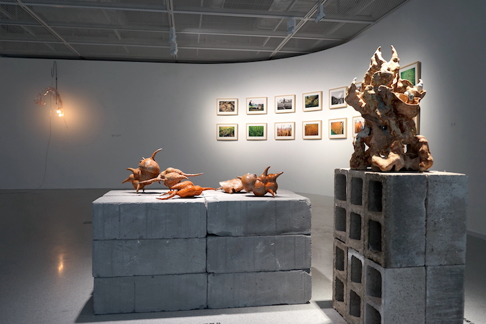 日月复光华：复旦大学艺术馆开馆！