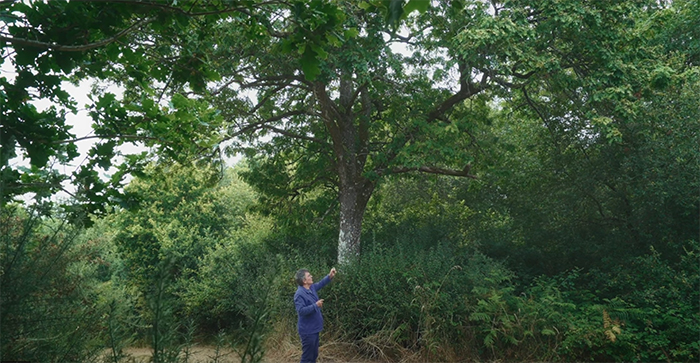 科学、自然与绘画的融合——法布里斯・伊贝尔的跨学科艺术之旅