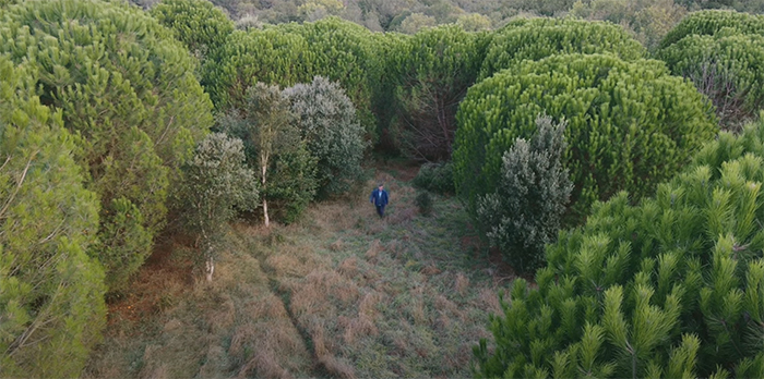 科学、自然与绘画的融合——法布里斯・伊贝尔的跨学科艺术之旅