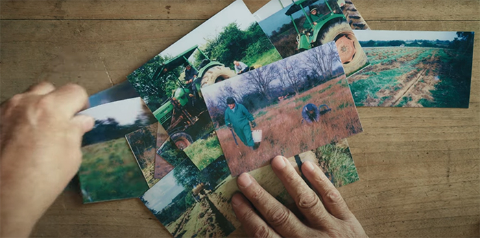 科学、自然与绘画的融合——法布里斯・伊贝尔的跨学科艺术之旅