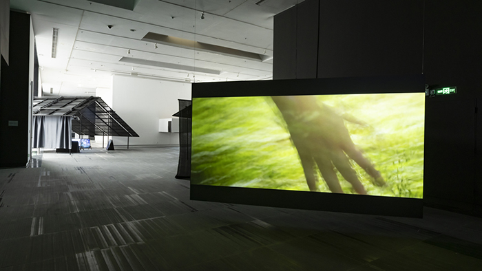 当艺术邂逅人类学，泛东南亚探索的重启——陈晓阳专访