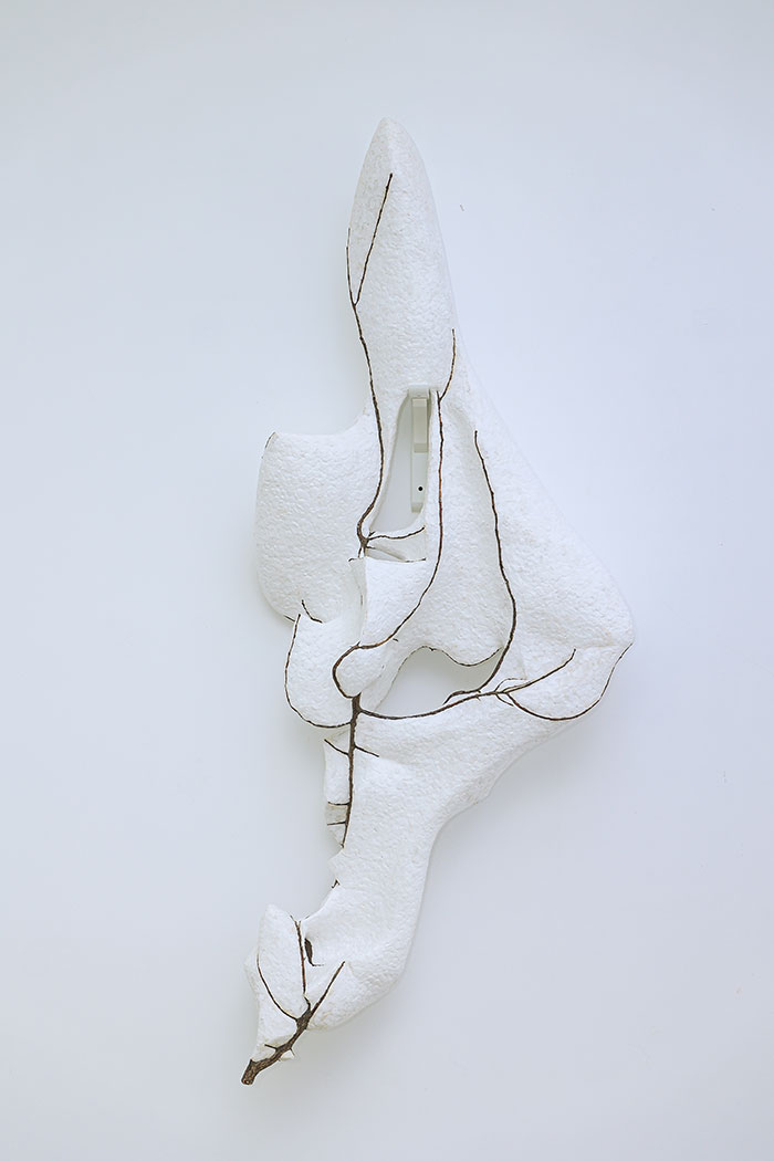 “身体记忆”与物性的诗学：艺术家康靖、郑江双人展有边空间BOUNDED SPACE开幕