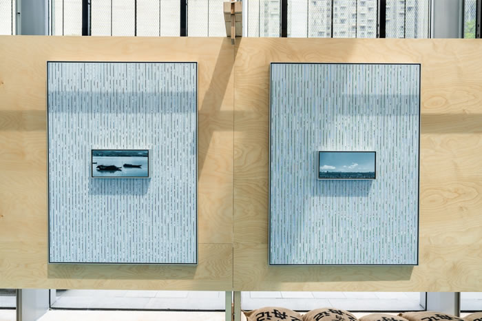 “河流计划”新展启幕