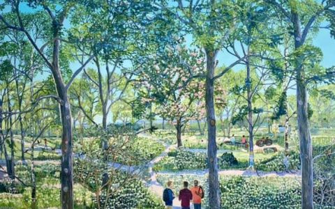 生态诗篇：艺术中的树木生命